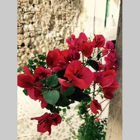 Lovely Appartamento Cefalù