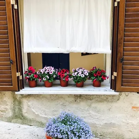 Lovely